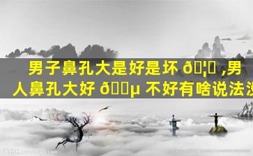 男子鼻孔大是好是坏 🦁 ,男人鼻孔大好 🌵 不好有啥说法没